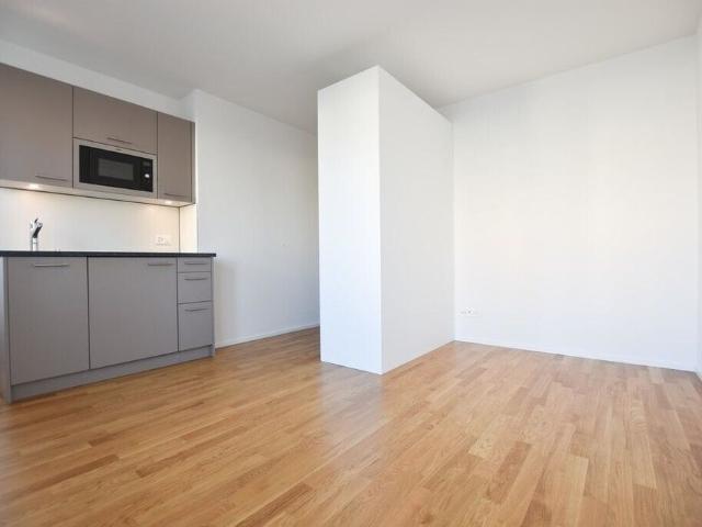 Modern apartment in Wankdorf