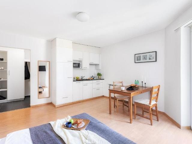 Modern Apartment in Zurich Wiedikon – Fully Furnished & Well Connected, Zurich Amsterdam Apartments for Rent