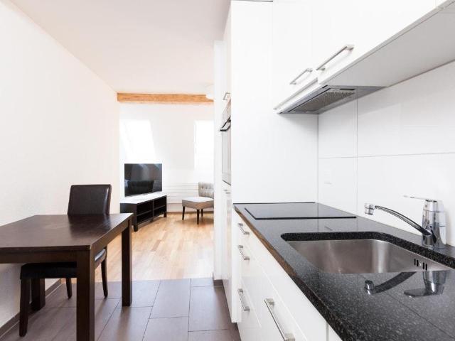Modern Apartment in Zurich City Center – Langstrasse & 900m to Main Station, Zurich Amsterdam Apartments for Rent