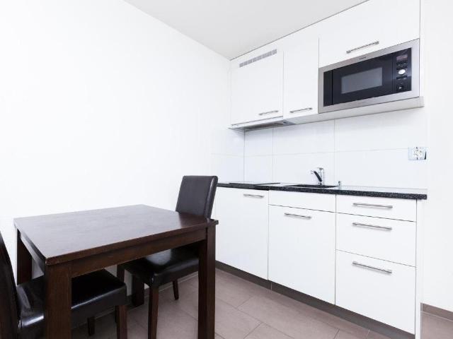 Modern Apartment in Zurich City Center – Near Main Station & Langstrasse, Zurich Amsterdam Apartments for Rent