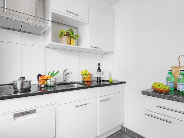 Modern Apartment in Zurich Oerlikon – Fully Furnished & Excellent Transport Links, Zurich Amsterdam Apartments for Rent