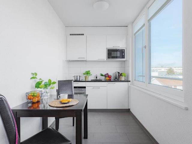 Modern Apartment in Zurich Oerlikon – Ideal for Professionals, Zurich Amsterdam Apartments for Rent