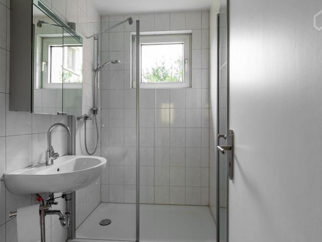 Modern apartment with new bathroom and kitchen, near to Uniklinikum Essen, Essen Amsterdam Apartments for Rent