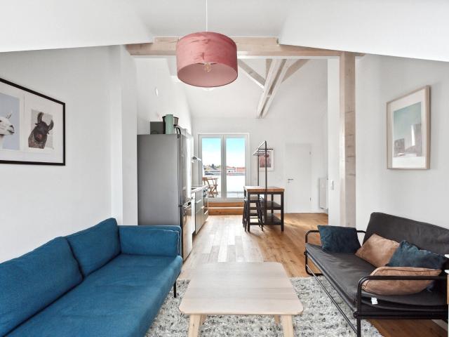 Modern apartment with roof terrace Leipzig South