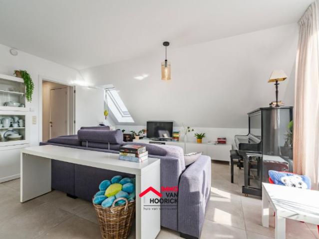 Modern appartement te huur in Sinaai