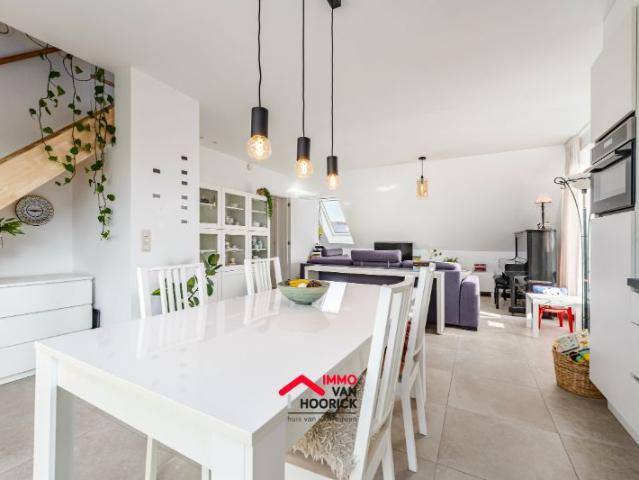 Modern appartement te huur in Sinaai