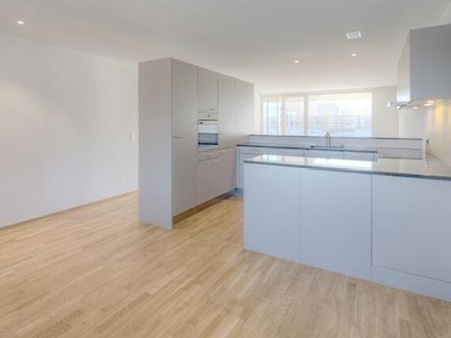 Modern attic apartment in the Aarberg Center