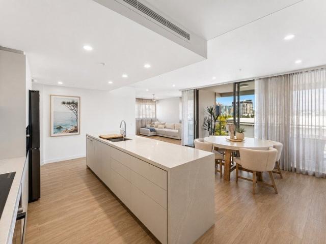 Modern Boutique Luxury in Blue Chip Cotton Tree
