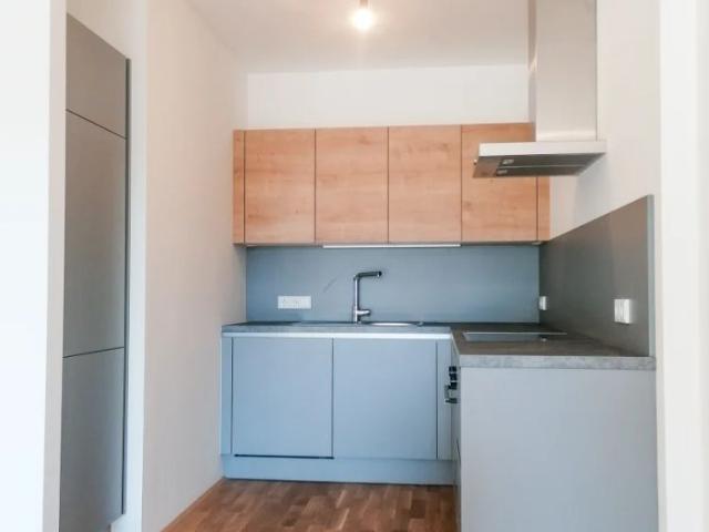 Modern Balkonwohnung mit Einbauküche ! ab 01.03.2026 zu Vermieten