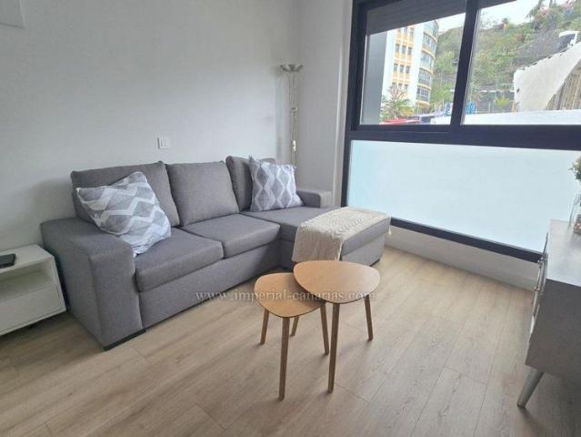 Modern brand new apartment in the heart of the city with an interior patio seasonal rental