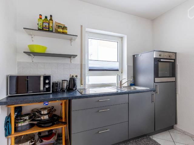 Modern, bright apartment with terrace and parking space quietly located in Kaiserslautern, Kaiserslautern Amsterdam Apartments for Rent