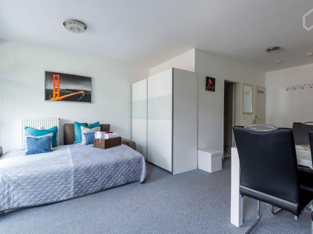 Modern, bright & comfortable 1 room apartment, floor to ceiling panoramic windows near main station, Mainz Amsterdam Apartments for Rent
