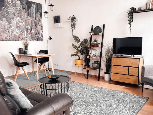 Modern, bright home in Chemnitz, Chemnitz Amsterdam Apartments for Rent