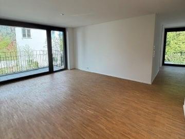 modern, bright 3.5 room apartment in Wollishofen with a view