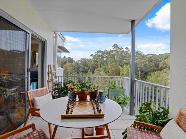Modern Buderim Apartment Offering Relaxed Coastal Living