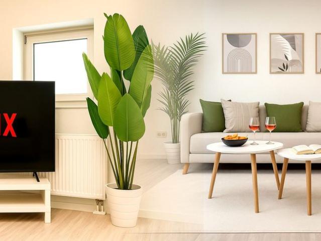 Modern Business Apartment, Magdeburg Amsterdam Apartments for Rent