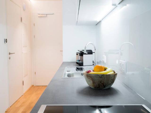 Modern business apartment with bathtub, shower, air conditioning and garden