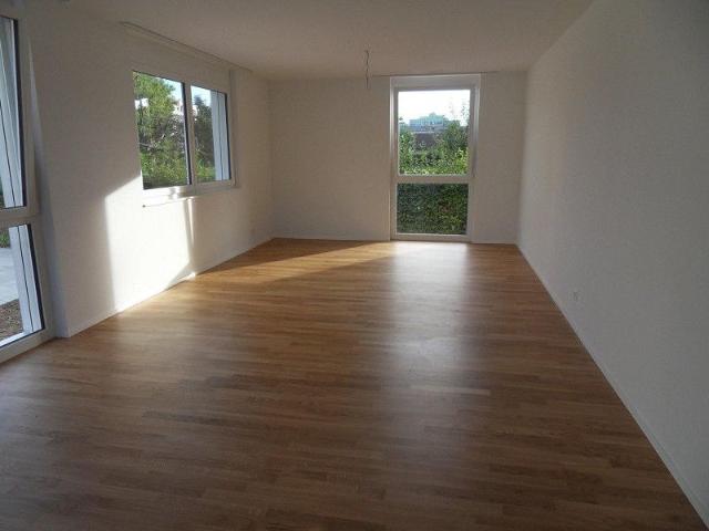 Modern, gemütlich, Allschwil!