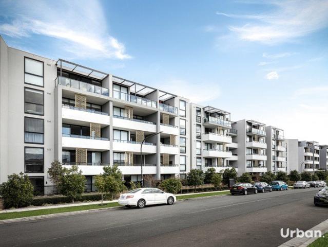 Modern Ground Floor Apartment in a Convenient Location!