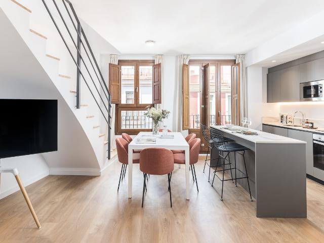 Modern duplex with terrace next to Turia river