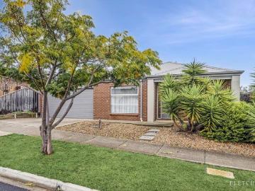 Modern Ease with Family Friendly Appeal