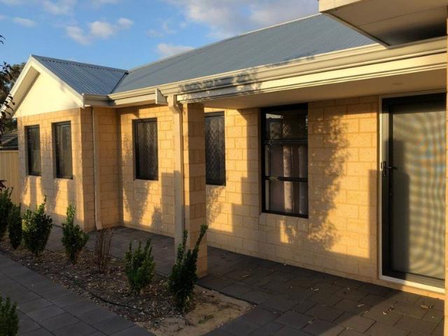 Modern, Easy Care Family Home