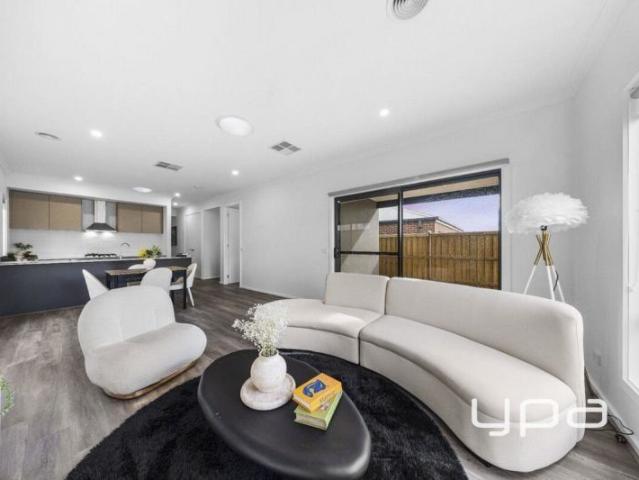 Modern Elegance & Family Comfort in Olivia Estate!