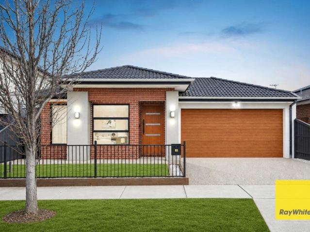 Modern Elegance Meets Sustainable Living