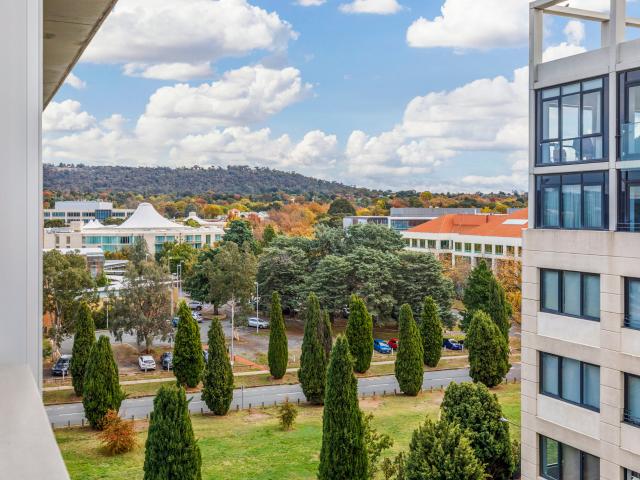 Modern Executive Apartment in Barton!