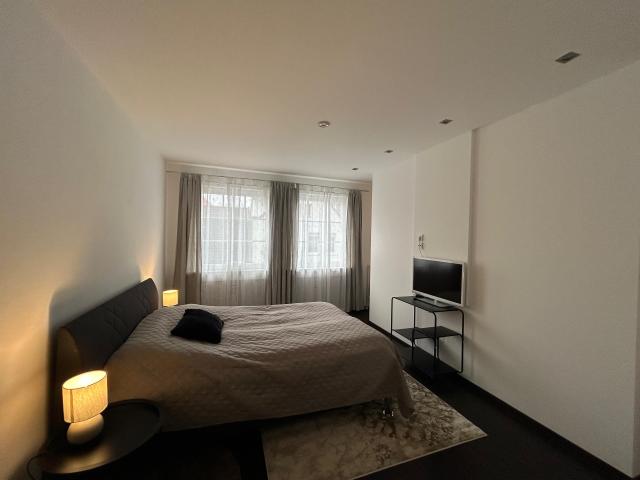 Modern Executive Loft with Fireplace & Balcony in Bad Salzuflen