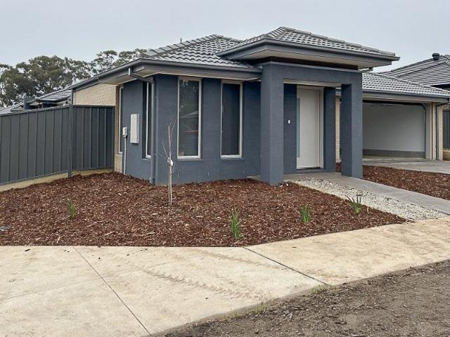 Modern Four Bedroom Home in Convenient Huntly Location