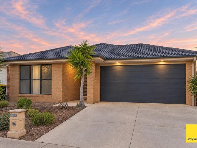 Modern Four Bedroom Home in a Convenient Location