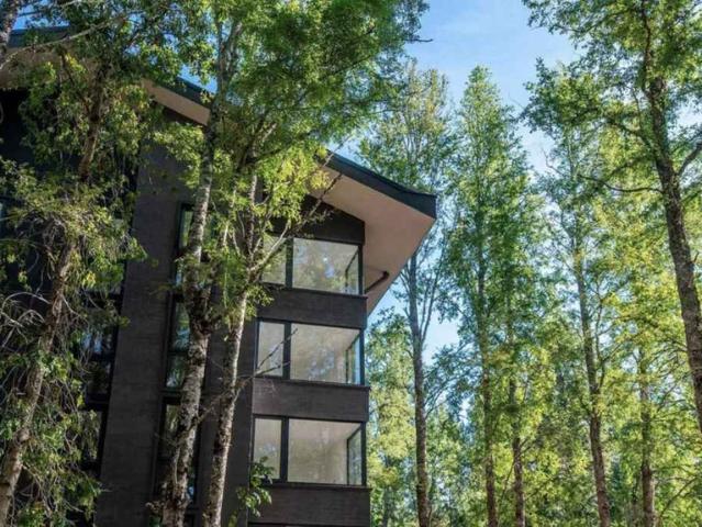 Modern Forest Apartment with WiFi – 600 per month