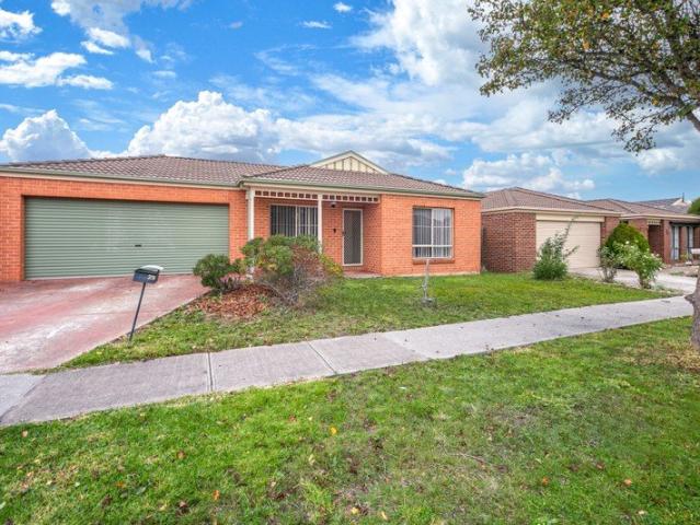 Modern Family Home in the Heart of Ashfield