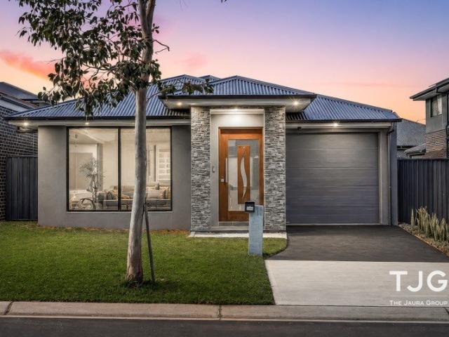 Modern Family Home in the Heart of Box Hill