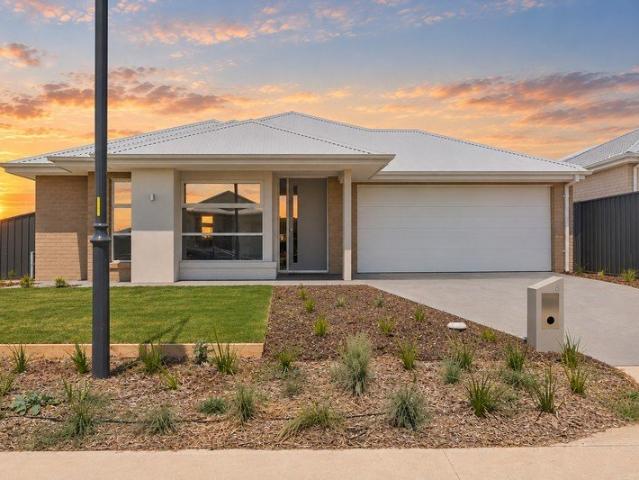 Modern family home with huge side access!