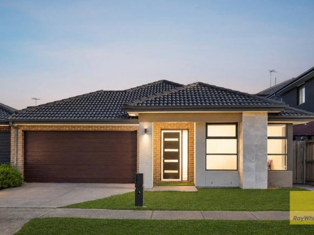 Modern Family Luxury in the Heart of Westbrook Estate