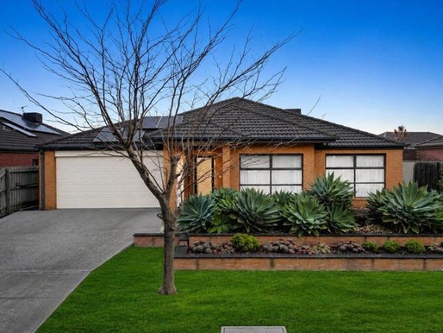 Modern Family Living with Exceptional Indoor Outdoor Entertainment areas