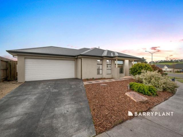Modern Family Living with Parkside Appeal