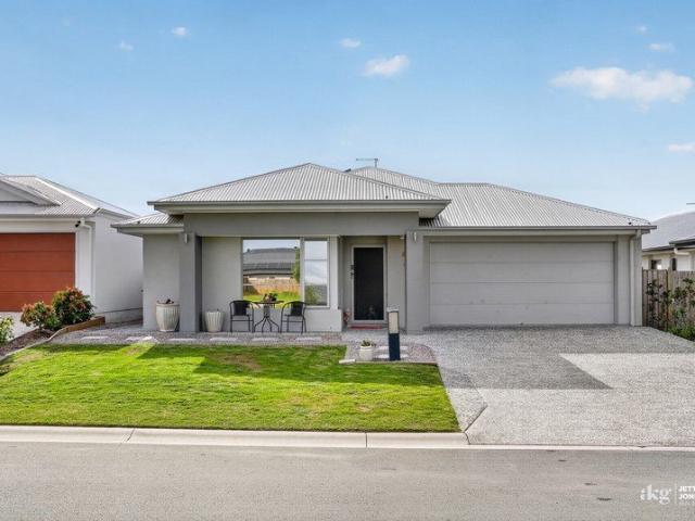 Modern Family Living with Premium Upgrades in Chambers Flat