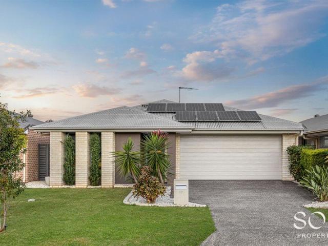 Modern Family Living Backing onto Peaceful Bushland