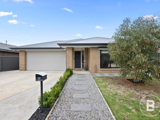 MODERN FAMILY LIVING IN THE HEART OF MINERS REST