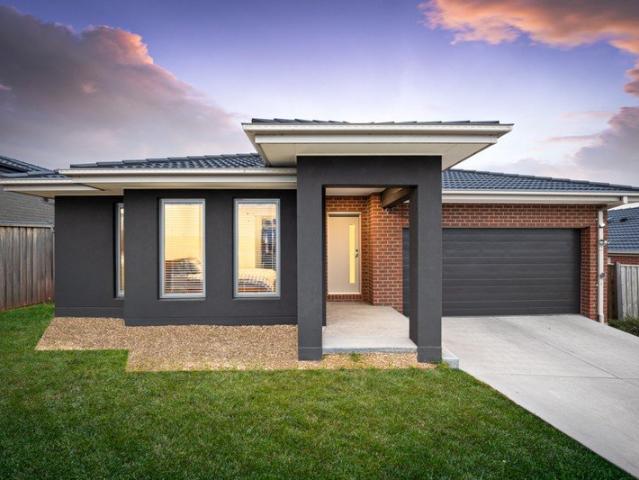 Modern Family Living in the Heart of Smythes Creek
