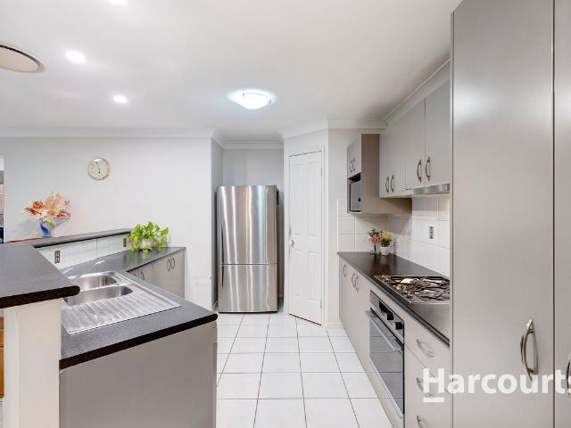 Modern Family Living in the Heart of Petrie!