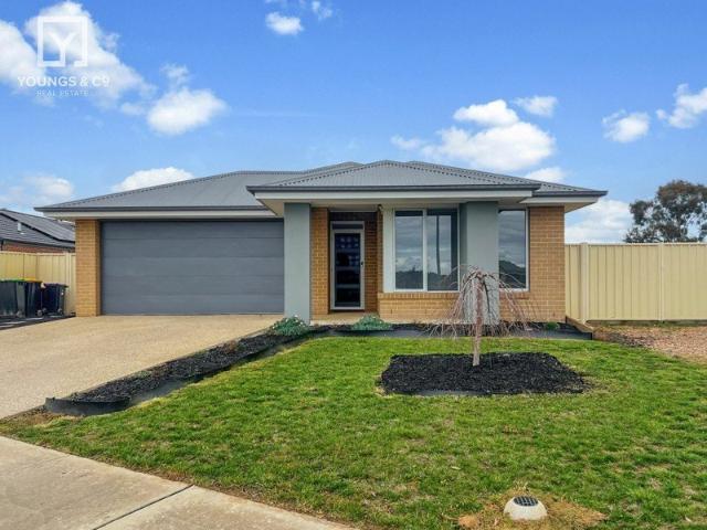 Modern Family Living in Windsor Park Estate