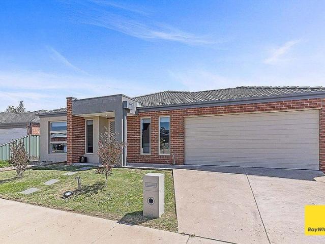 Modern Family Living in a Convenient Huntly Location