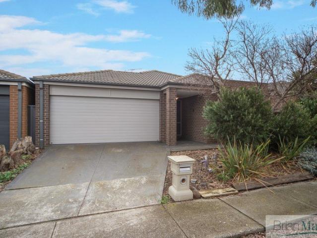 Modern Family Living in a Prime Manor Lakes Location