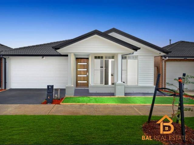 Modern Family Living in a Prime Donnybrook Location
