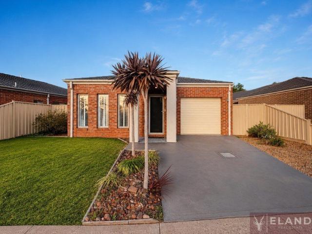 Modern Family Living in a Prime Harkness Location | Perfect for First Home Buyers, Downsizers & Investors