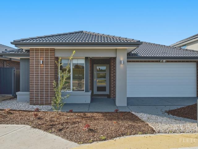 Modern Family Living in a Stunning Brand New Home